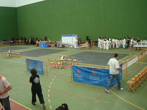 torneo kenpo 2010 por Album de fotos de deportes de Abla - Almeria.